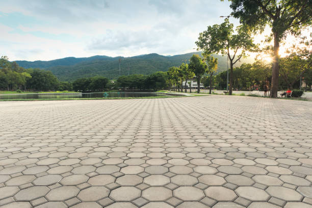 Best Concrete Paver Driveway  in Larimore, ND