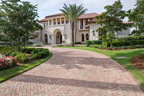 Best Local Driveway Pavers  in Larimore, ND