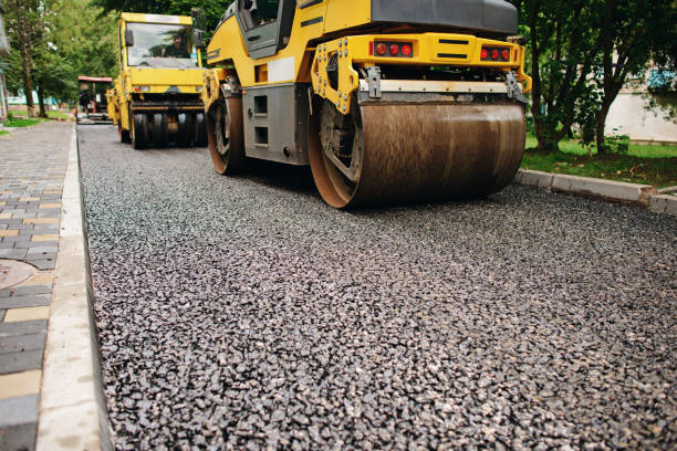 Best Professional Driveway Pavers  in Larimore, ND